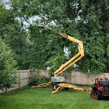 Best Utility Line Clearance  in Crimora, VA