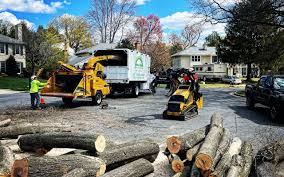 Best Stump Grinding and Removal  in Crimora, VA