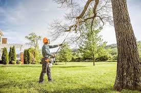 Best Leaf Removal  in Crimora, VA