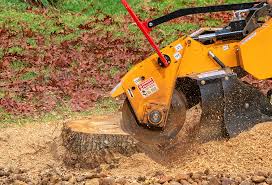 Best Aeration Services  in Crimora, VA