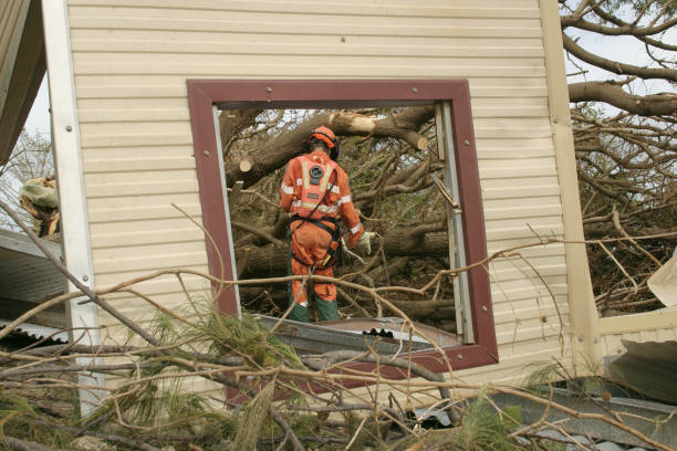 Best Fruit Tree Pruning  in Crimora, VA