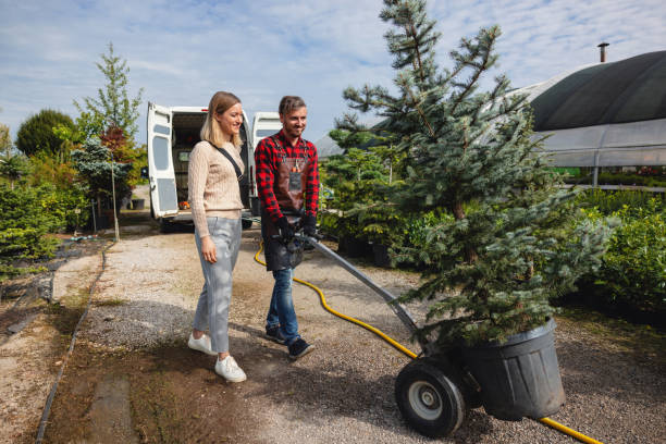 Best Commercial Tree Services  in Crimora, VA